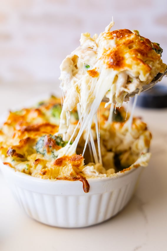 baked chicken broccoli alfredo — creamy, cheesy & oven baked comfort