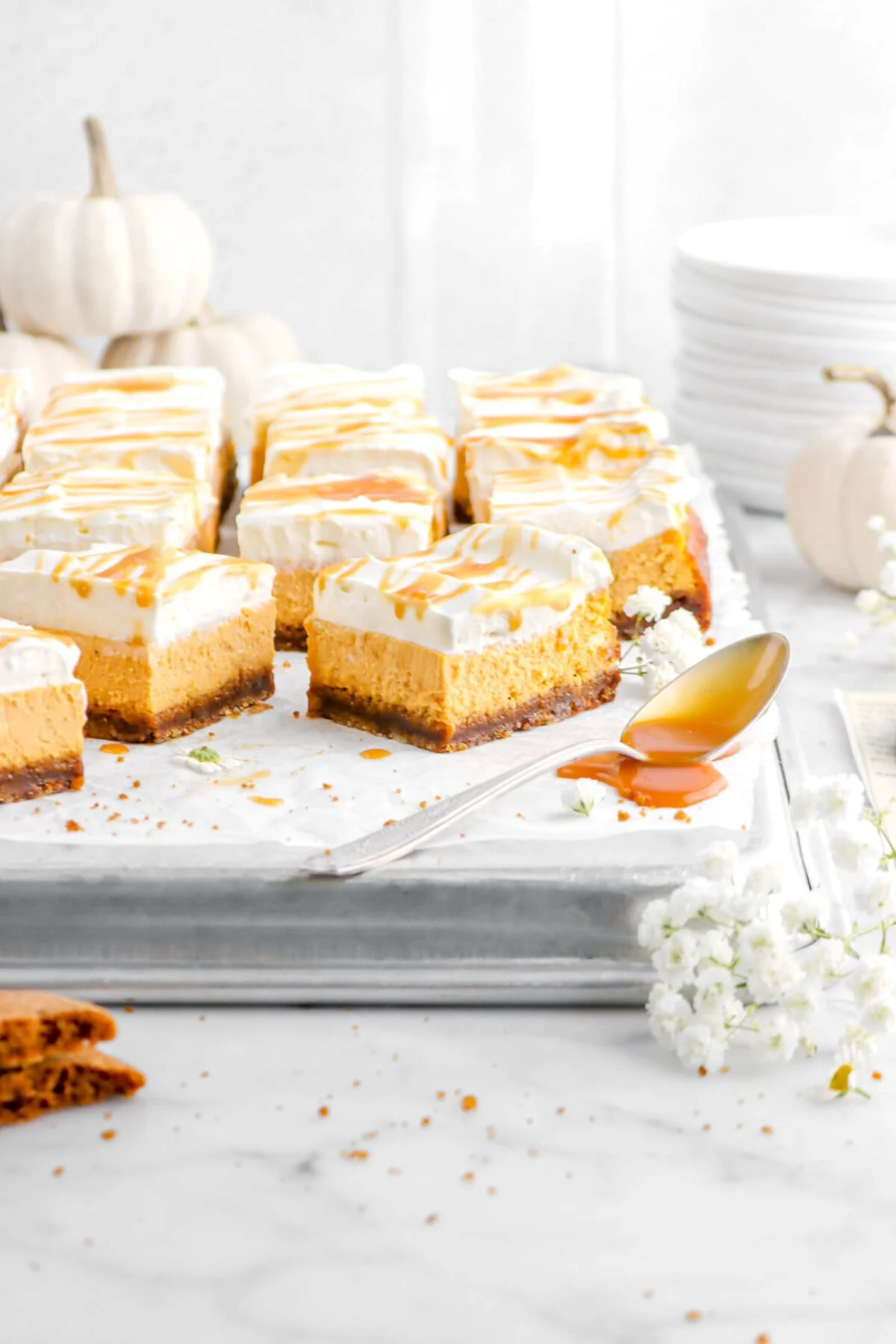 mini pumpkin cheesecake bars with gingersnap crust — rich autumn dessert